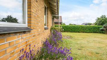 House | View from property