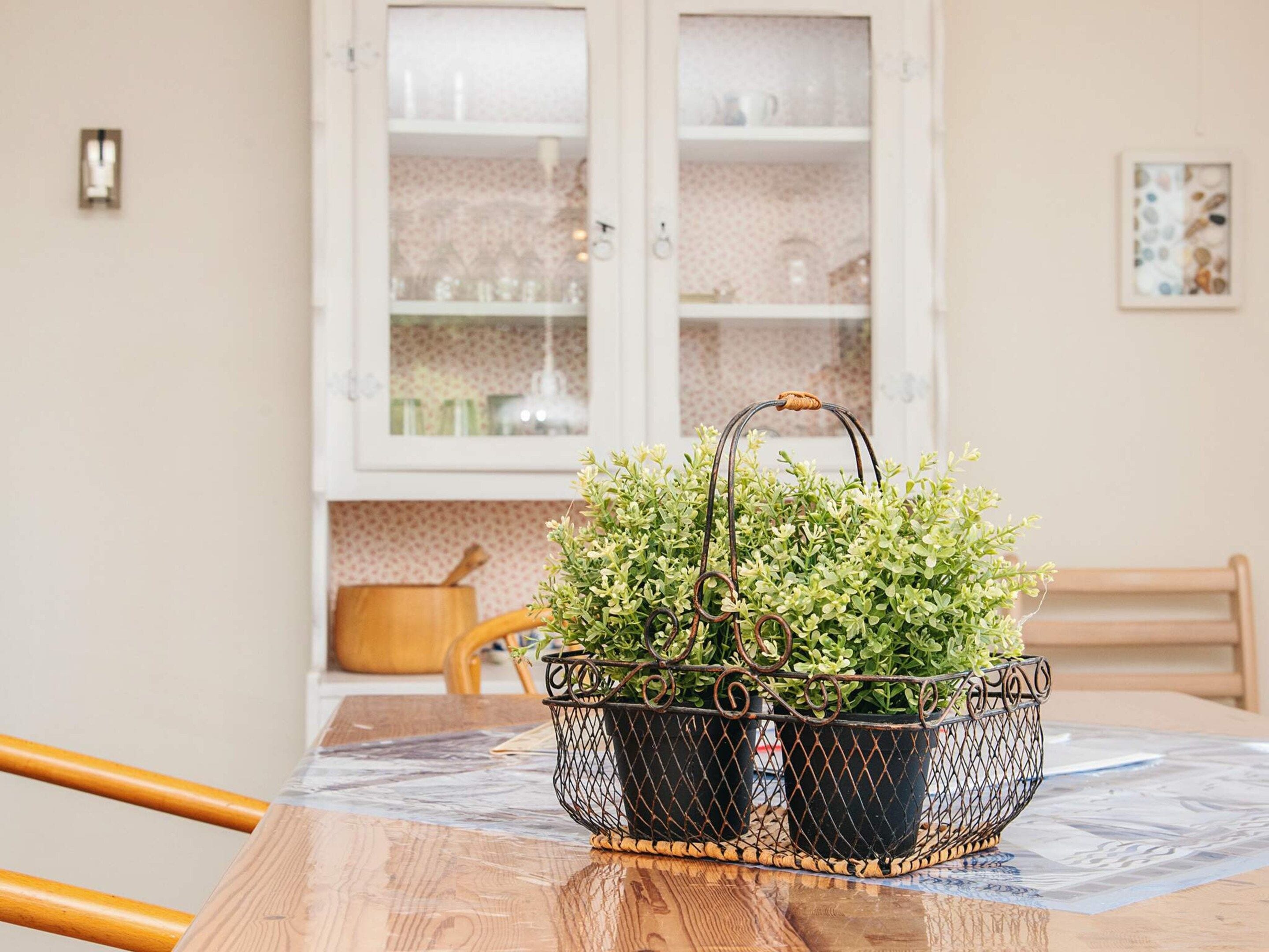 A dining table with a metal plant holder containing green plants.