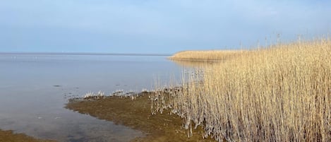 独立别墅 | 水景