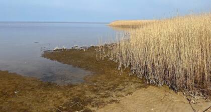 5 Person Holiday Home in Skjern