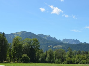 Apartment | 1 bedroom, individually furnished, iron/ironing board - Lovely Apartment in Gaissach (Gaißach)