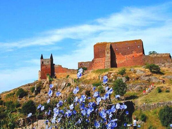 A historic stone fortress with a prominent tower and a large wall, surrounded by a grassy hill with wildflowers.