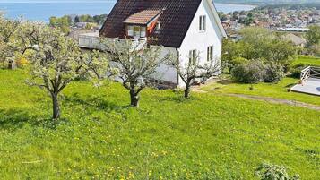 House | Property grounds