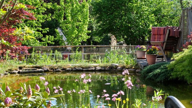 A garden with a pond, potted plants, and a wooden deck. - Holiday Home Time out in the Monument (Lohr am Main)