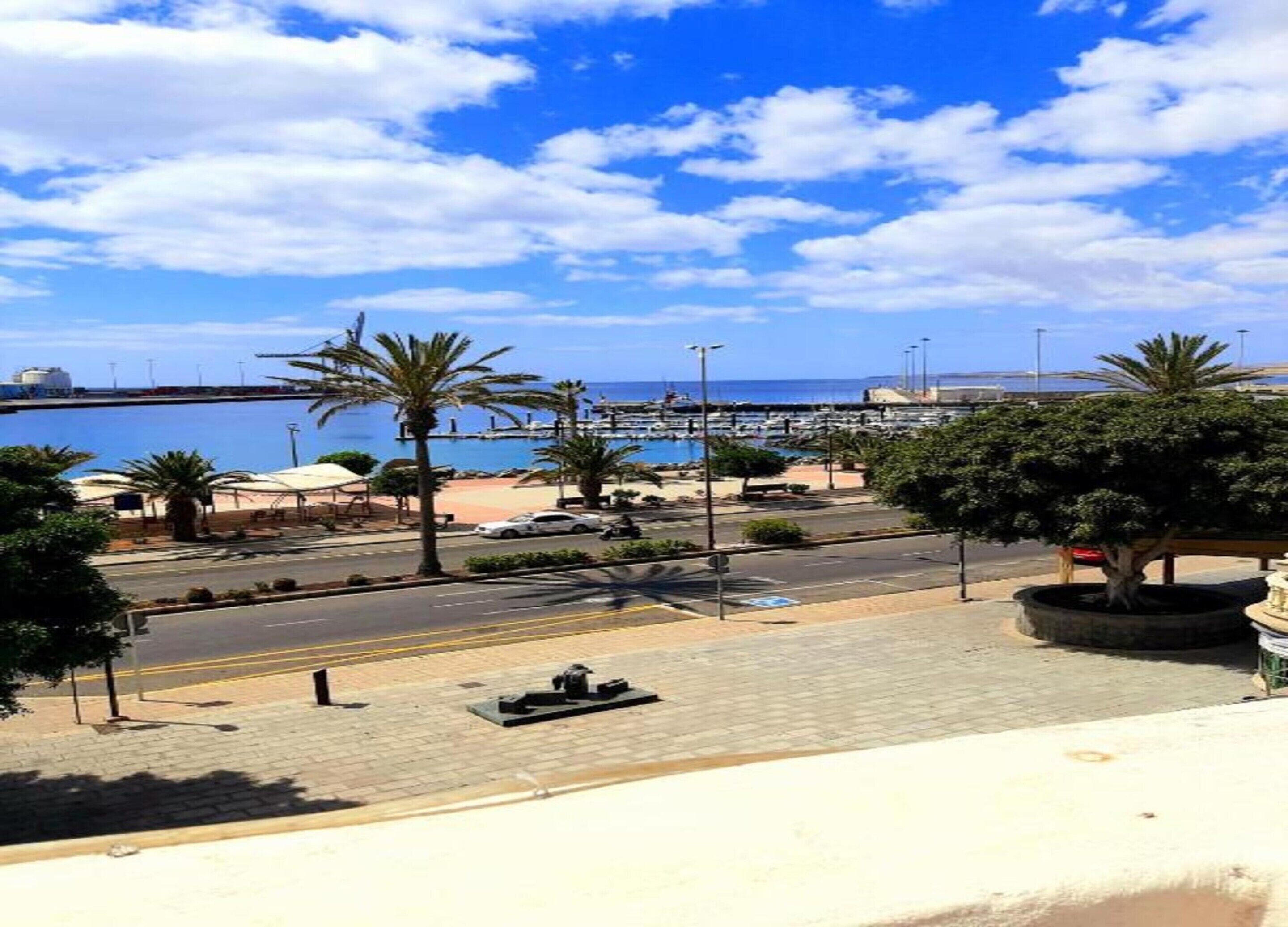 A coastal view with a marina, palm trees, and a paved walkway.
