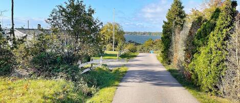 A paved pathway flanked by greenery and a body of water in the distance.
