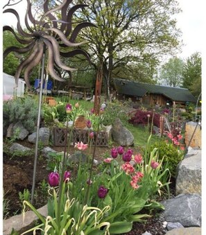 Exterior - Apartment Kleine Auszeit Eifel (Udler)