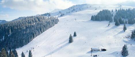 Apartment | View from property