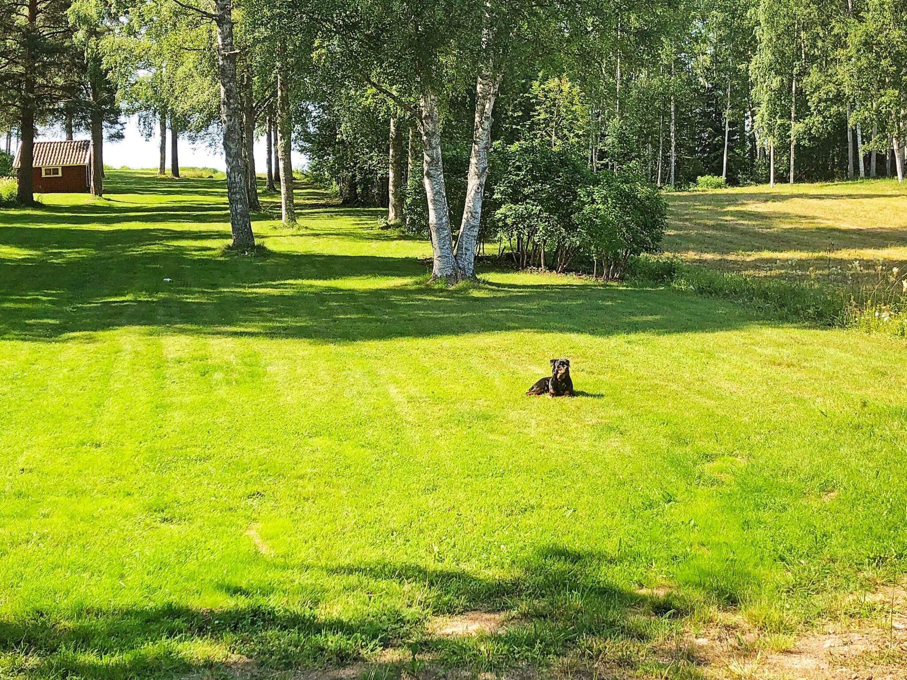 Un campo cubierto de hierba con árboles y un edificio pequeño a lo lejos.