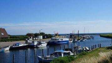 A marina with boats docked, a grassy embankment, and a clear sky.