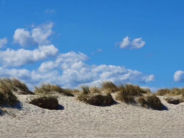Uma praia arenosa com dunas e céu azul límpido.