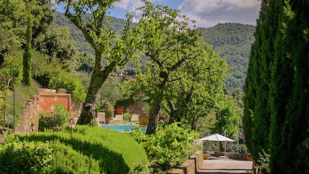 A pool area with steps leading down to a pool, surrounded by lush greenery and trees. - Villa in Cortona With Pool & Hill Views (Cortona)