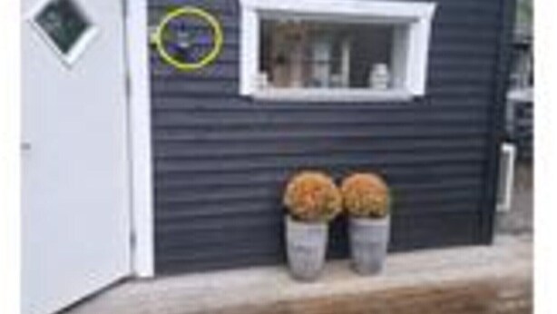 A building with a dark exterior, a white door, a small window, and two potted plants. - 4 Person Holiday Home in Ebeltoft (Ebeltoft)