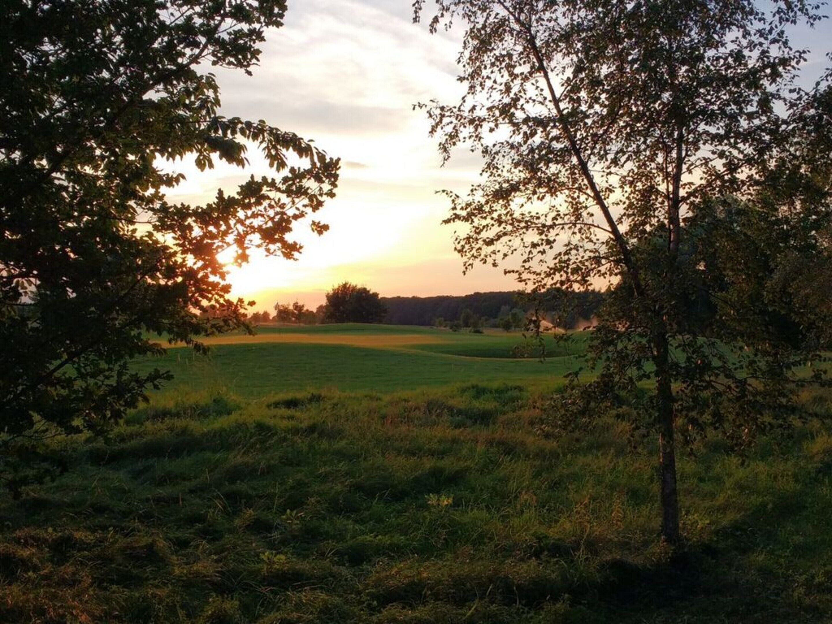 Een grasveld met bomen en een zonsondergang op de achtergrond.