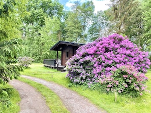 Una cabaña rústica con terraza de madera y un gran arbusto de flores moradas.