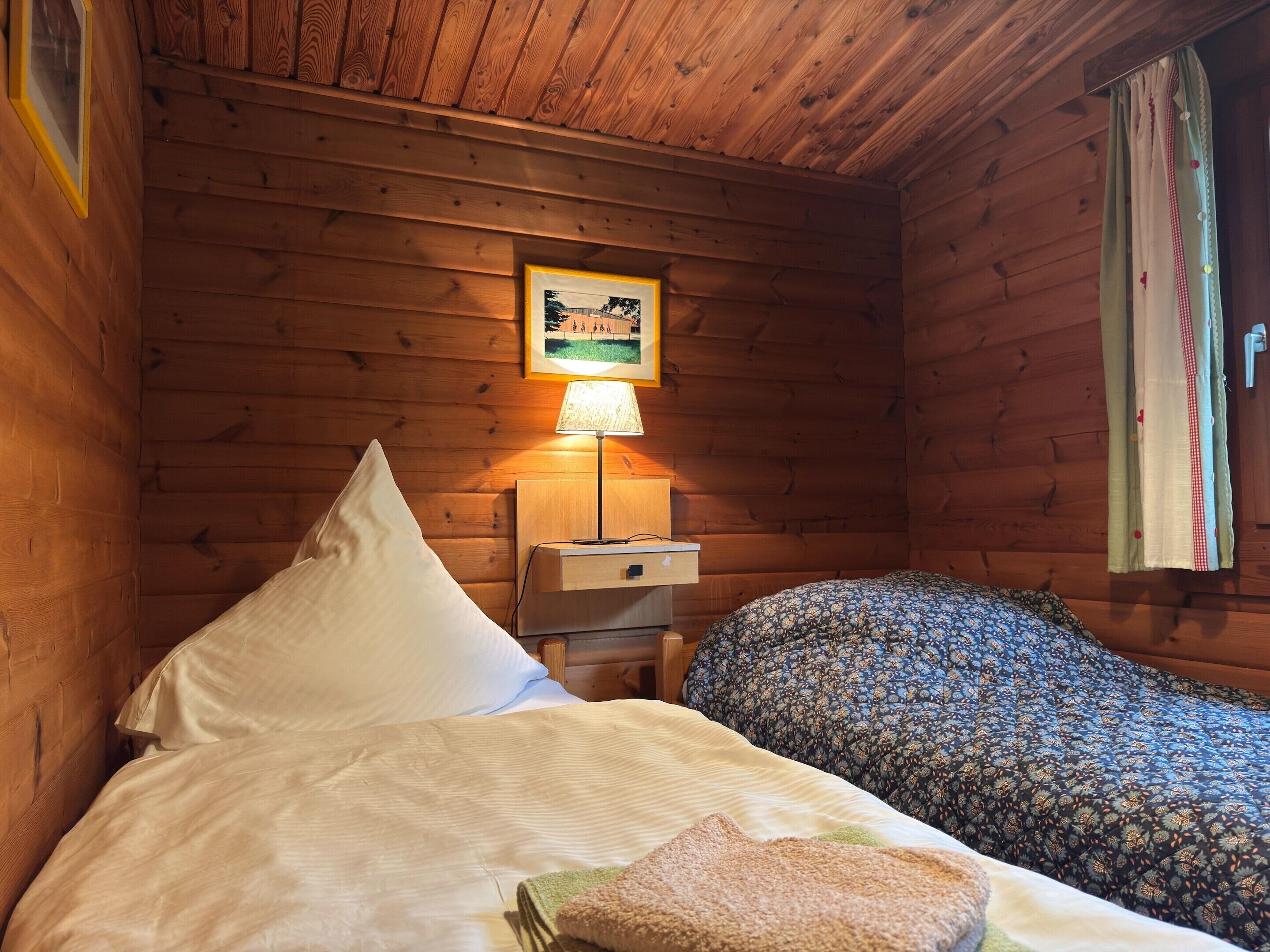 A wooden cabin room with a bed, a nightstand, a lamp, and a framed picture on the wall.