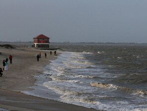 Beach - Little Seagull Modern Retreat (Wangerland)