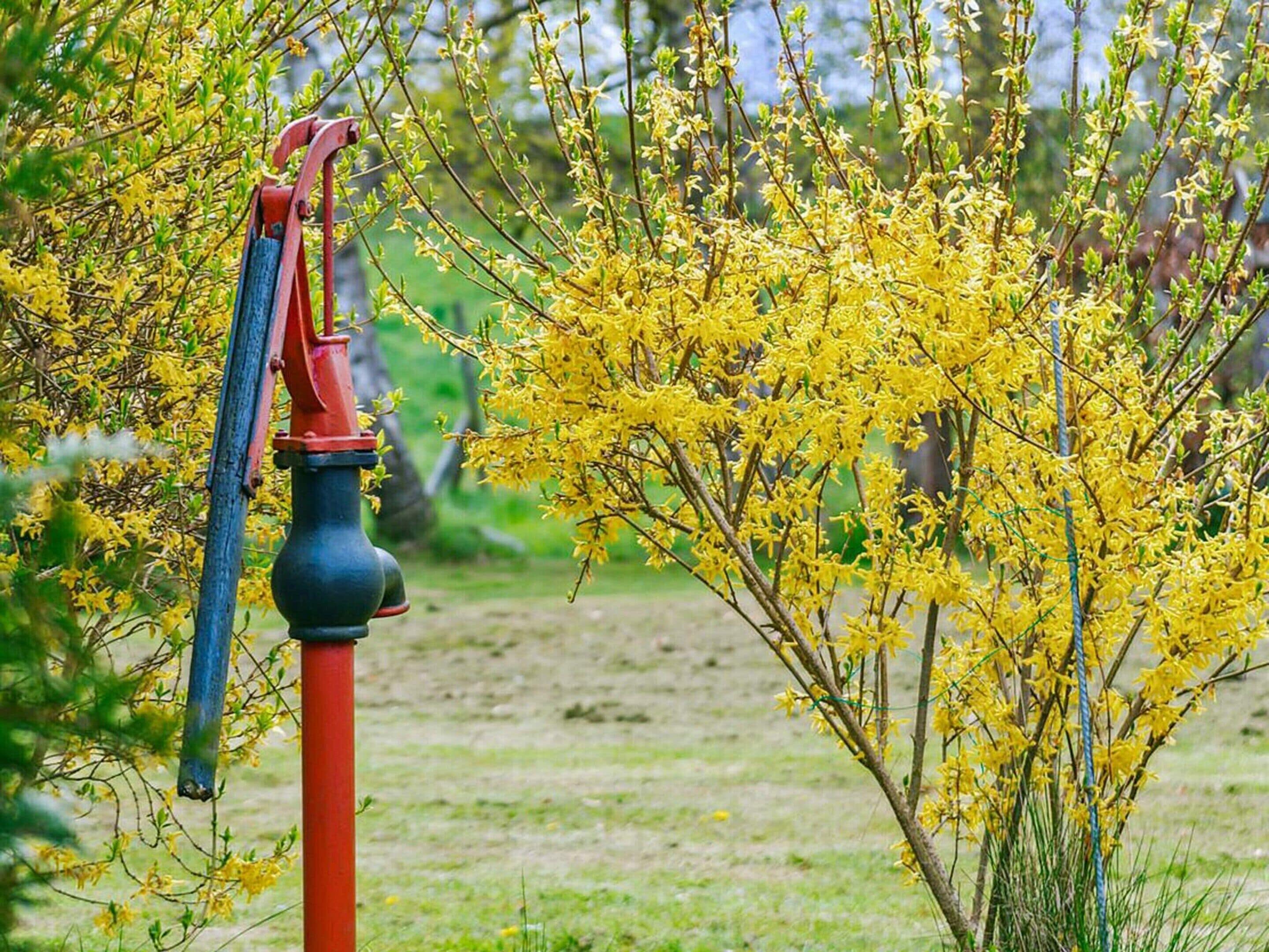 House | Miscellaneous