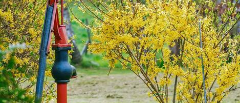 House | Miscellaneous