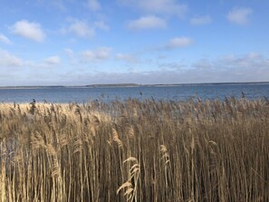 Un paysage côtier avec de hautes herbes au premier plan et une mer calme à l’arrière-plan.