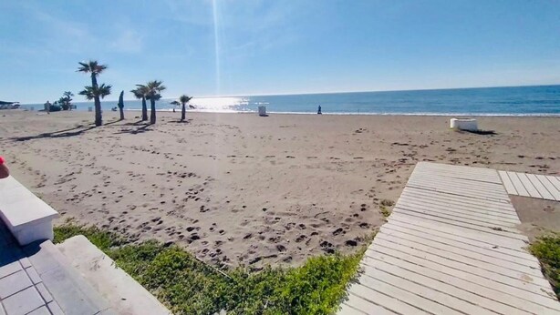 Een strand met een houten looppad naar het water, met palmbomen en een heldere lucht.