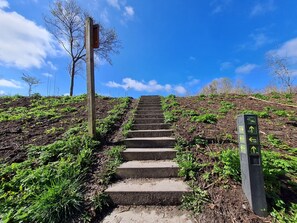 Ferienhaus | Außenbereich