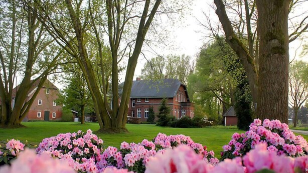 A large tree in the foreground with pink flowers, a brick building in the background, and a well-maintained lawn. - Appealing Apartment in Westerstede (Westerstede)