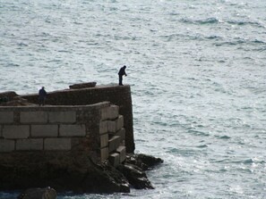 Apartamento | 2 dormitorios y mobiliario individual