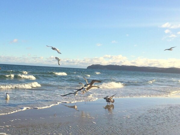 Strand
