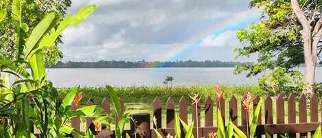 Family Studio Suite | Terrace/patio