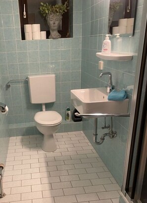 A bathroom with a toilet, sink, and shower area.