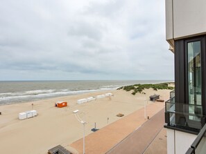 Vista desde la propiedad