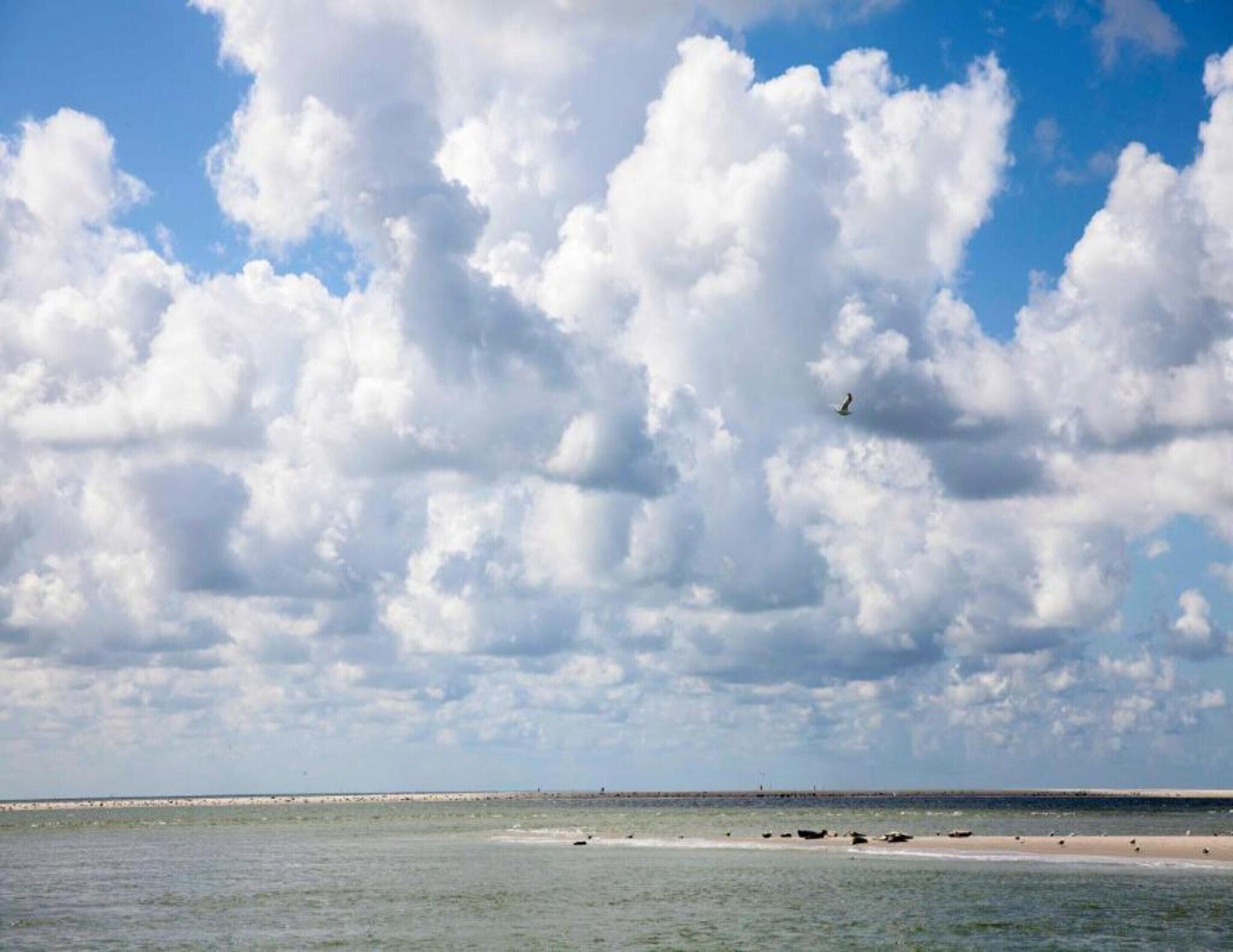 A beach with a wide sandy shore and calm sea under a partly cloudy sky.