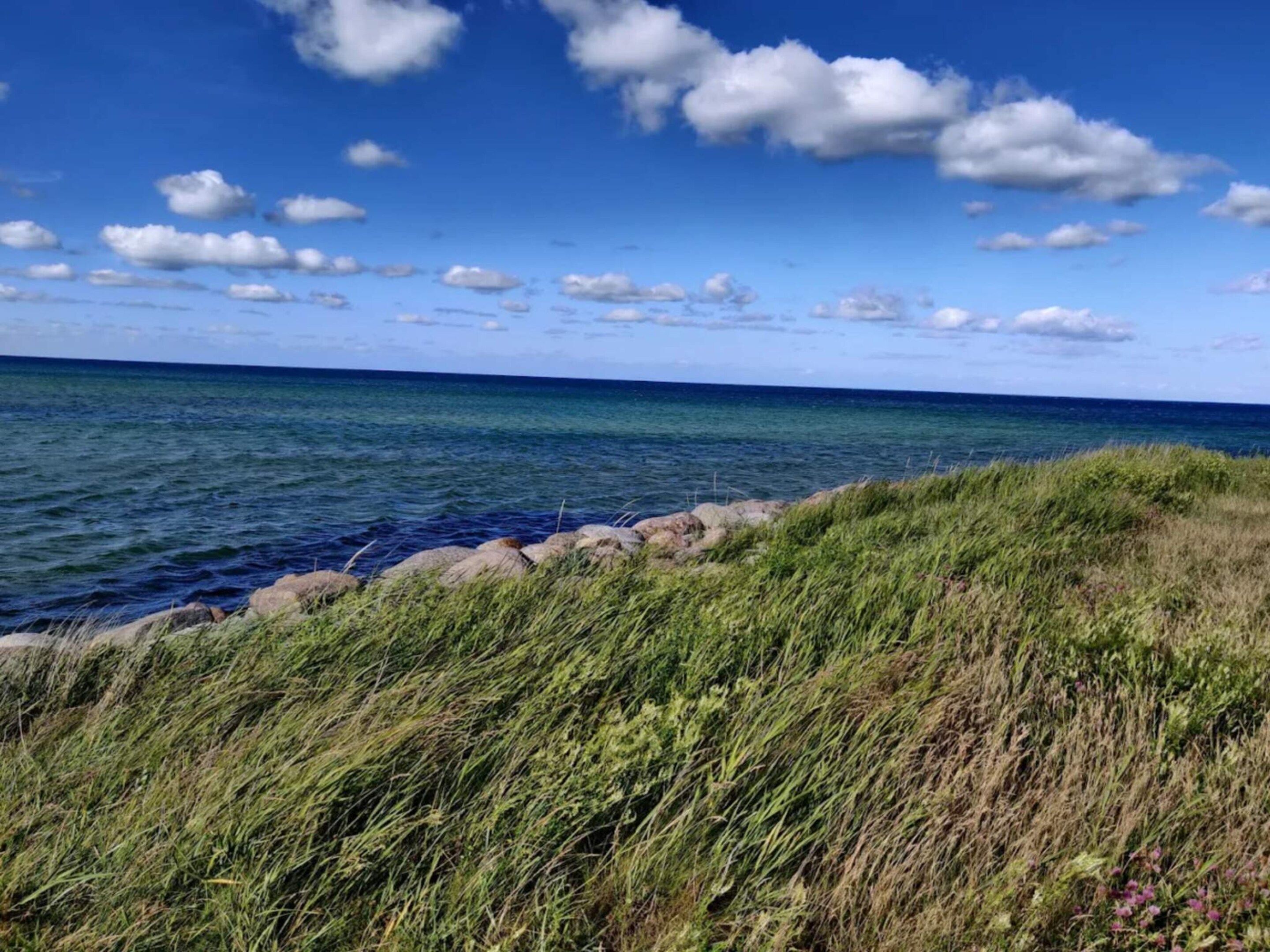 Un paysage côtier avec un premier plan herbeux, une côte rocheuse et un ciel bleu dégagé parsemé de quelques nuages.