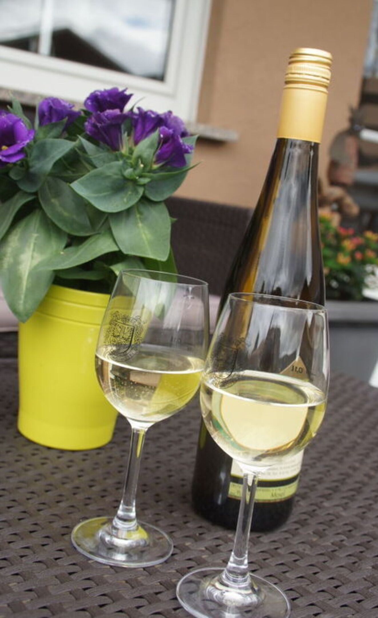 A bottle of white wine and two glasses on a table with a potted plant in the background.