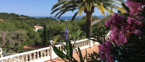 Hus | Utsikt fra overnattingsstedet