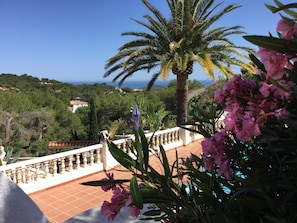 Maison | Vue depuis l’hébergement