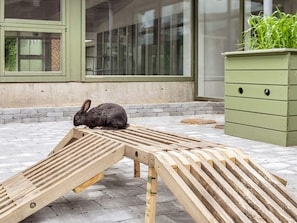 A wooden ramp with a rabbit on it, a green cabinet, and a building with large windows in the background. - 4 Person Holiday Park Home in Hanstholm (Hanstholm)