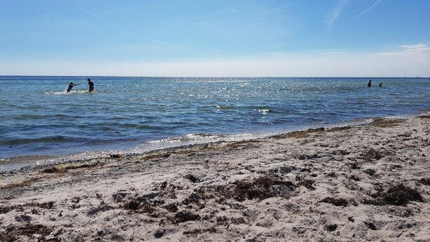 A beach with clear skies, calm water, and a sandy shore. - 4 Person Holiday Home in Hollviken (Hollviken)