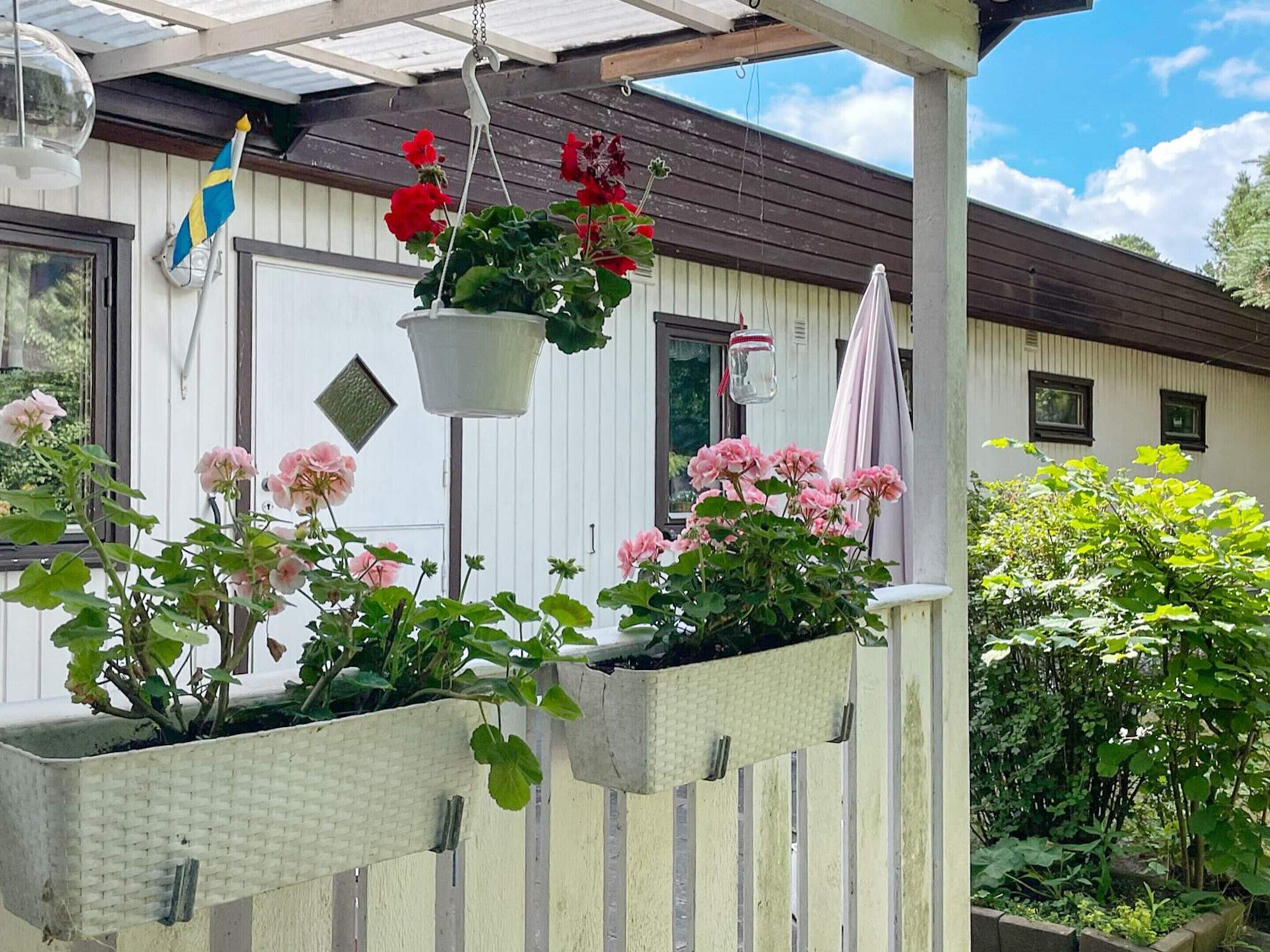 獨棟房屋 | 外觀