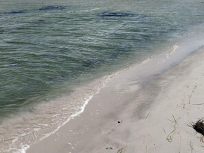 A beach with clear water, a sandy shore, and some seaweed. - 4 Person Holiday Home in Hollviken (Hollviken)
