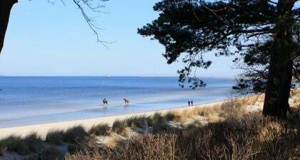 Holiday Home Strandbusch