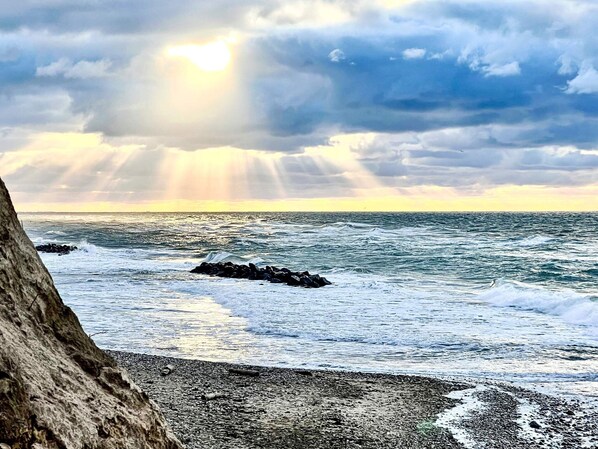 Un rivage rocheux avec des vagues, un arbre et un ciel nuageux.
