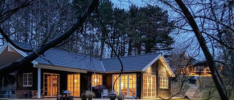 独立别墅 | 外观