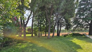 Una cancha de tenis rodeada de árboles y césped.