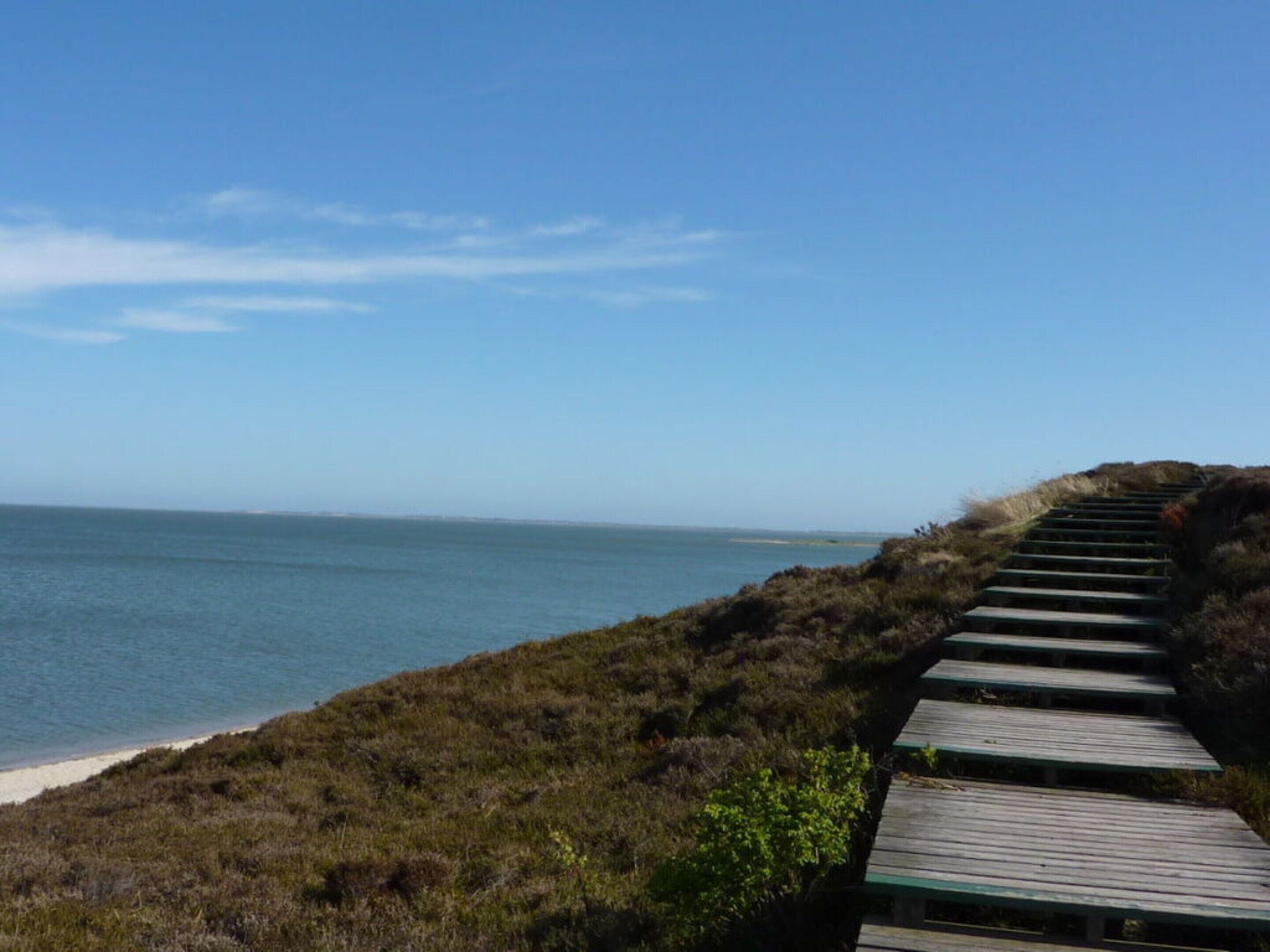 Une promenade en bois qui mène à une plage d’où l’on a une vue dégagée sur l’océan.