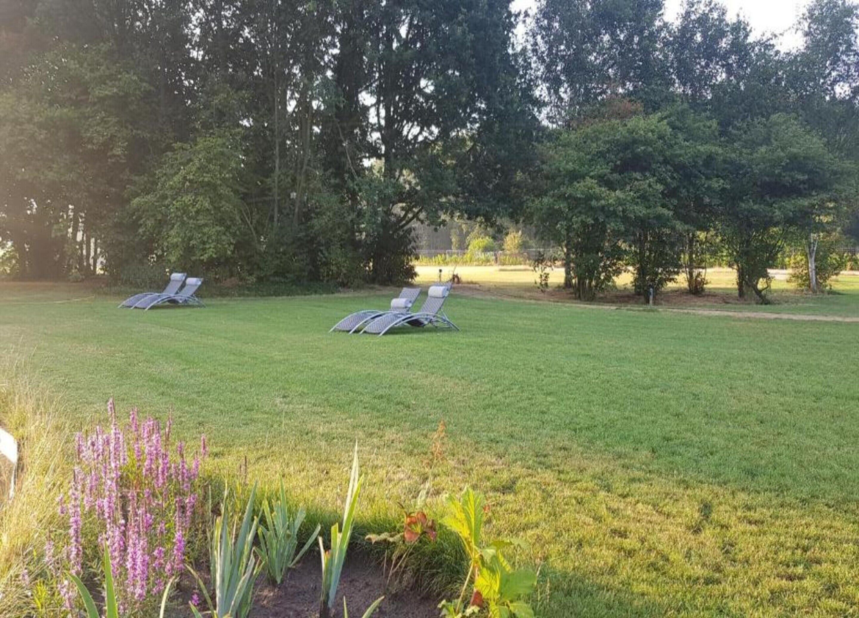Uma área externa gramada com duas espreguiçadeiras e um pequeno jardim com flores roxas.