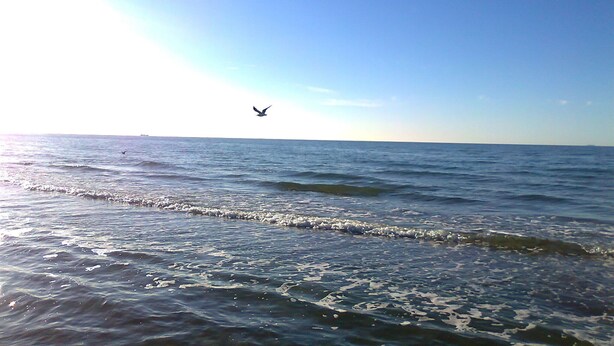 A view of the ocean with waves and a bird flying in the sky. - Apartment in Neu Ludershagen With Terrace (Wendorf)