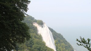 A coastal cliff with dense forest vegetation. - Apartment in Neu Ludershagen With Terrace (Wendorf)