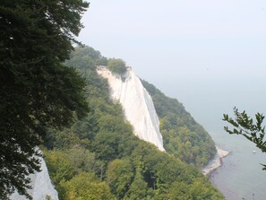 Departamento | Vista desde la propiedad